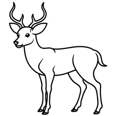       Deer  vector illustration style.
