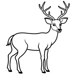       Deer  vector illustration style.
