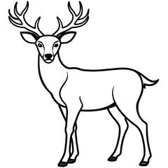       Deer vector illustration style.

