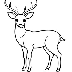       Deer vector illustration style.
