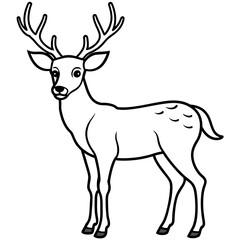       Deer vector illustration style.
