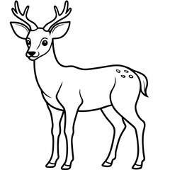       Deer vector illustration style.
