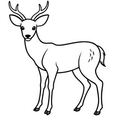       Deer vector illustration style.
