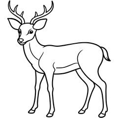       Deer vector illustration style.
