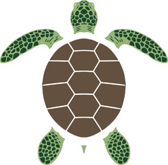 ector illustration of a sea turtle