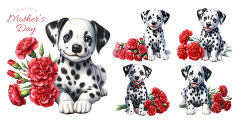 Dalmatian puppy and red carnation watercolor illustration material set