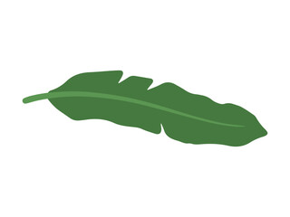 Tropical Green Leaves Background Illustration

