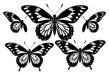 butterfly  silhouette vector illustration
