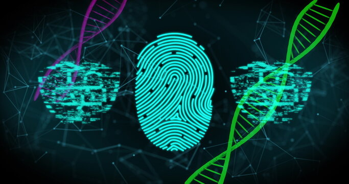 Biometric scanner and security padlock icons against dna structures and network of connections