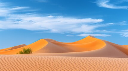 Fototapeta na wymiar Spectacular sahara desert landscape in egypt with mesmerizing rolling sand dunes