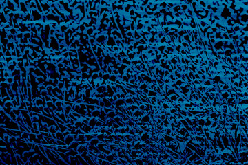 Abstract wildflowers dark blue light blue background texture