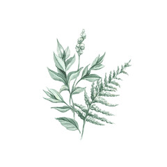 Bouquet with vintage green twigs and leaves vegetation composition isolated on white background. Watercolor hand drawn illustration sketch