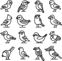 set of birds