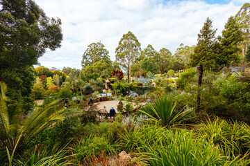 Dandenong Ranges Botanic Garden in Olinda Australia