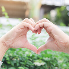 close up young man hand make heart shape gesture and raised over nature park background for campaign of earth day and zero waste and sustainable concept