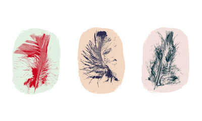 Collection of print relief style feather imprints. Bold coloured feathers with pale contrasting backgrounds.