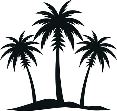 Silhouette of palm trees on white background. Vector illustration.
