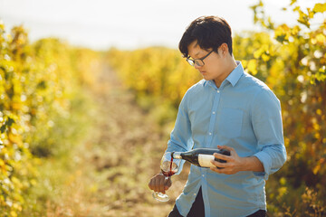 Asian Sommelier Pouring Bottle of Red Wine to the Glass on Sunlit Vineyard