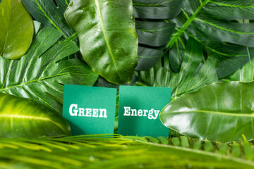 Beautiful expressive white inscription Green Energy among jungle greenery, concept, Renewable...