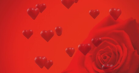 Image of red hearts over red rose on red background - obrazy, fototapety, plakaty