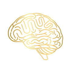Brain. Human Brain. Creativity and Intelligence Concept. Vector Illustration.