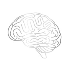Brain. Human Brain. Creativity and Intelligence Concept. Vector Illustration.