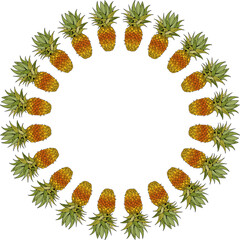 Round frame with pineapple on white background. Vector image.