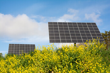 Grands panneaux solaires en région Bretagne-France © aquaphoto