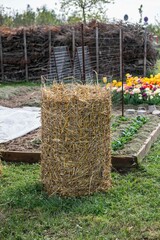 Kartoffelturm im Garten, Anbau Kartoffeln, Selbstversorgung
