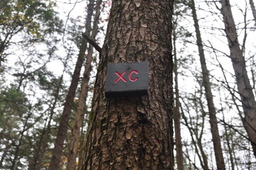 sign in the forest