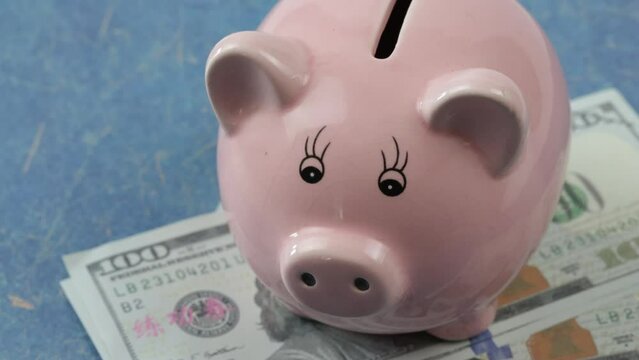 tirelire cochon et dollars, en gros plan