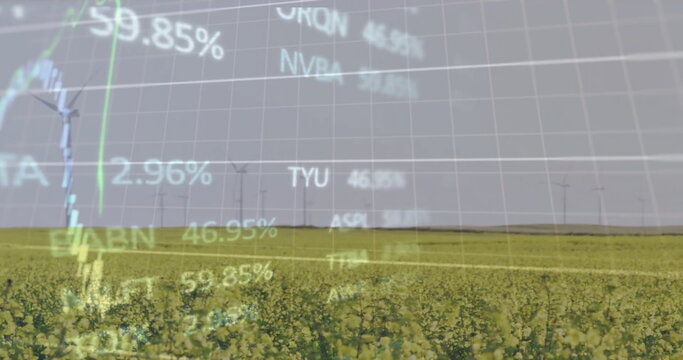 Image of diagrams and data processing over field with wind turbines
