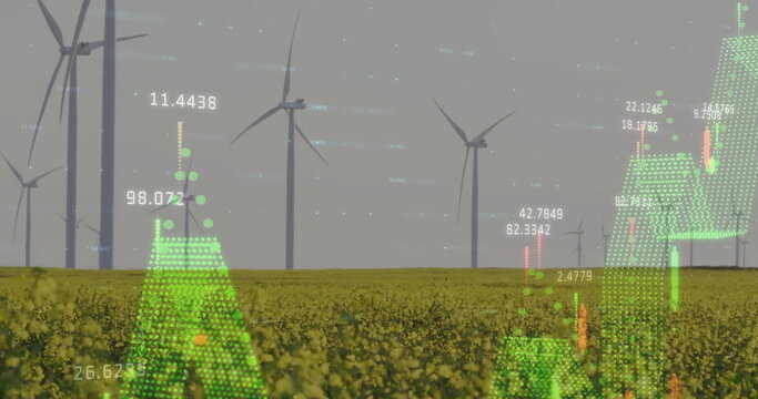 Image of diagrams and data processing over field with wind turbines