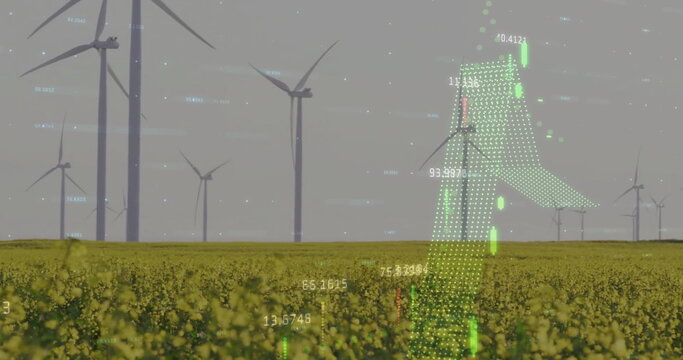 Image of diagrams and data processing over field with wind turbines