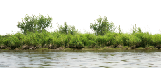 PNG River bank landscape nature outdoors