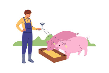 Farmer controls smart livestock farm via phone, standing near pigs with WiFi chips in ears. Innovative technologies in livestock and agriculture thanks to iot sensors for raising piglets