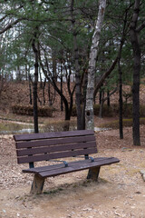 A bench with view of Seoul Forest in early spring, South Korea