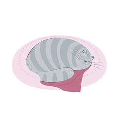 Cute grey striped cat sleeping curled up on a cat pillow. Flat vector illustration of a pet