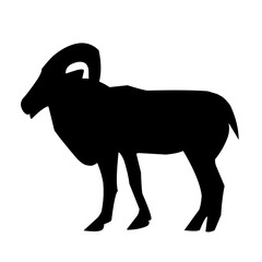 Vector silhouette of wild gaoat and argali