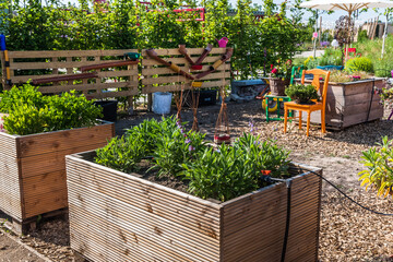 Wooden raised beds for vegetables and salad