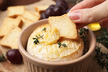 Woman dipping crouton into tasty baked camembert on table, closeup