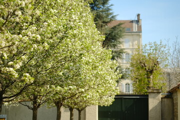 Printemps de Paris, France