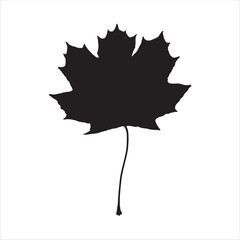 Naklejka premium Simple maple leaf silhouette icon vector illustration isolated on white background.