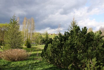 panoramic view in spring with a dark sky in the background and various trees in the foreground