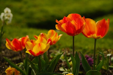 Printemps de Paris, France