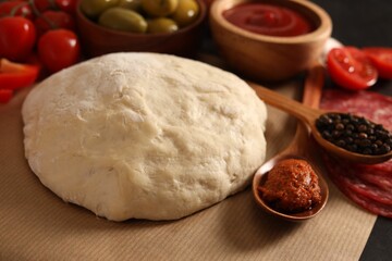 Pizza dough and products on table, closeup