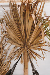 Dry tropical exotic palm leaf. Minimalistic aesthetic bohemian, coastal, organic modern and tropical style