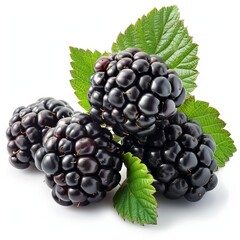 Fresh blackberries with vibrant green leaves isolated on a white background, showcasing natural gloss and ripeness.