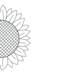 half sunflower. full vector illustration.