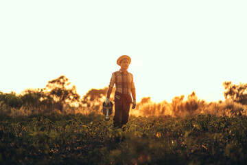 A farmer holds a watering can in the middle of a cassava field at sunset.